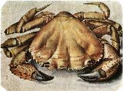Albrecht Durer Lobster 1495 Watercolour and gouache oil painting picture wholesale